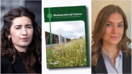 Därför gör Catena biologisk mångfald till vardag i förvaltningen