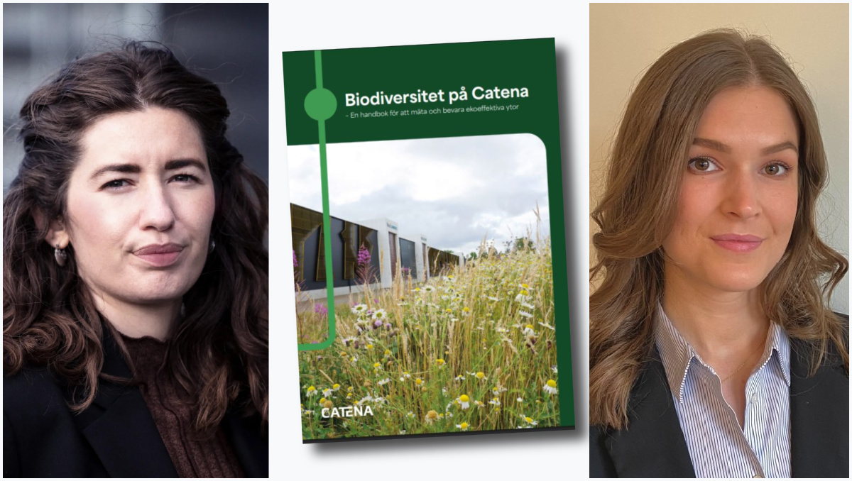 Därför gör Catena biologisk mångfald till vardag i förvaltningen