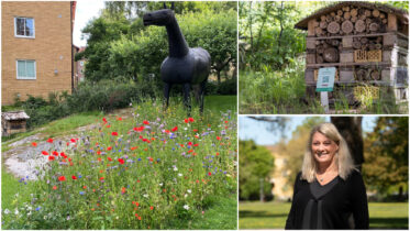 Bostadsbolagets handbok stärker arbetet med biologisk mångfald
