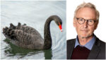 Se till att inköp inte blir den svarta svanen