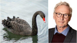 Se till att inköp inte blir den svarta svanen