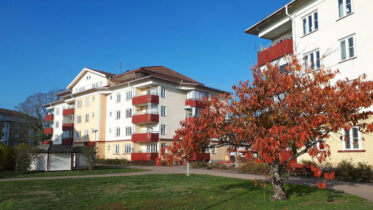 6 000 ronderingar – så arbetar Nybro Bostad helt digitalt