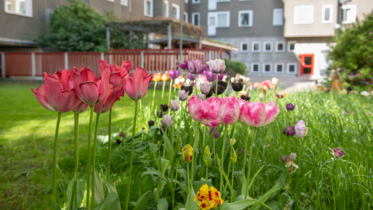 Vildare gårdar ger en rikare boendemiljö
