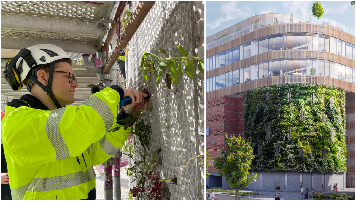Higab ser till att P-hus får Nordens största växtvägg