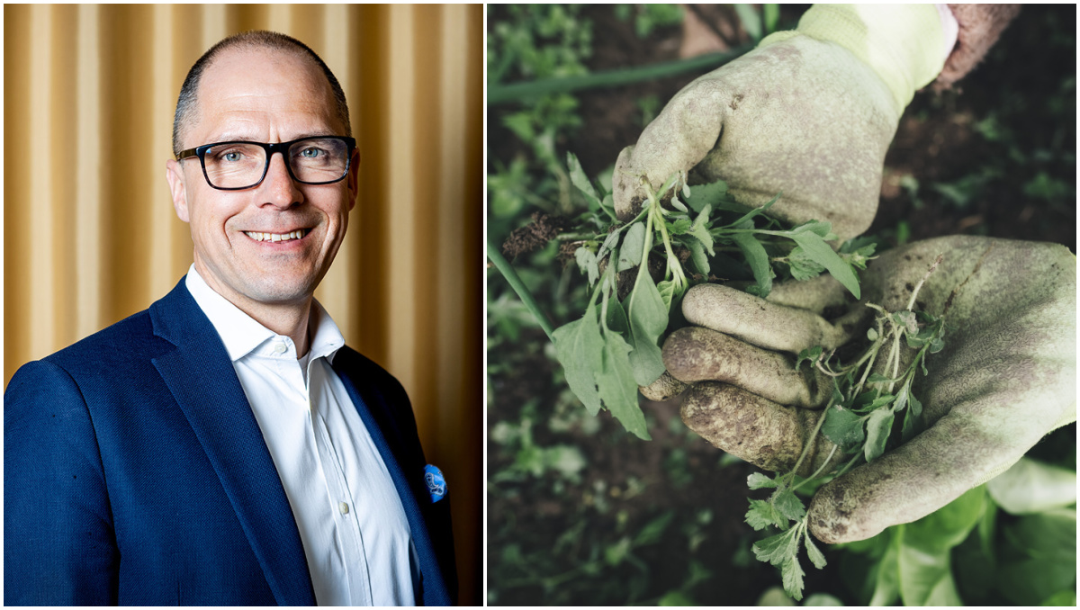 Det svåra börjar när strategin är klar